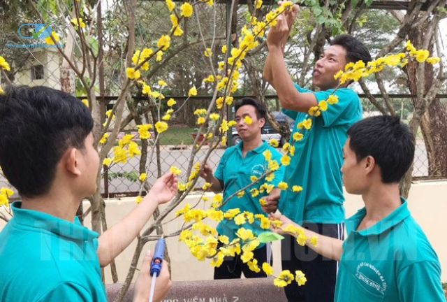 Đối Tượng Phục Vụ Tại Cơ Sở Cai Nghiện Ma Túy Phước Bình