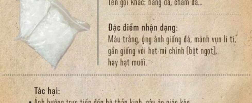 Các Biện Pháp Phòng Tránh Ma Túy Đá Hiệu Quả
