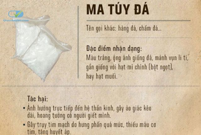Các Biện Pháp Phòng Tránh Ma Túy Đá Hiệu Quả