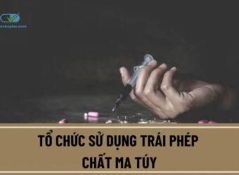 tổ chức sử dụng ma tuý