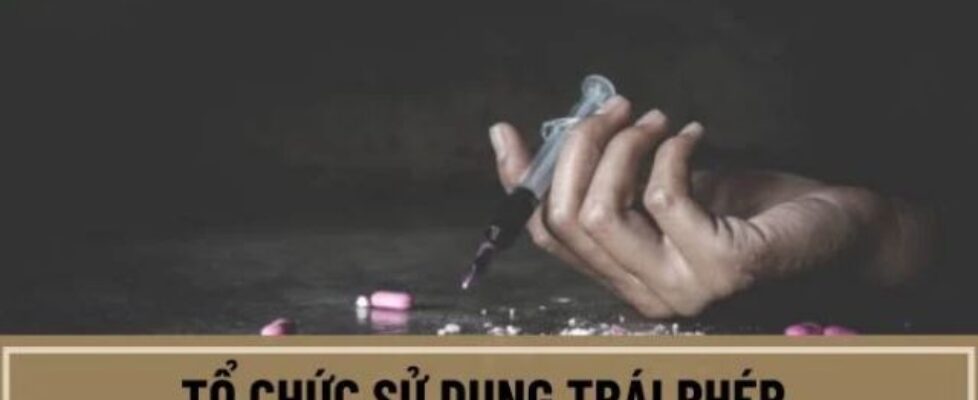 tổ chức sử dụng ma tuý