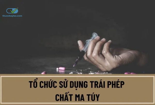 tổ chức sử dụng ma tuý